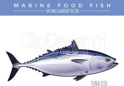 Tuna. Marine Food Fish