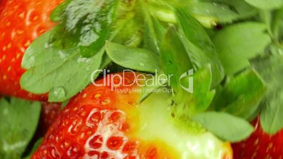 Macro Top-down View of Rotating Strawberries on White Background