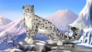 Snow Leopard Image