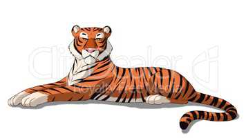 Bengal Tiger Isolated on White Background