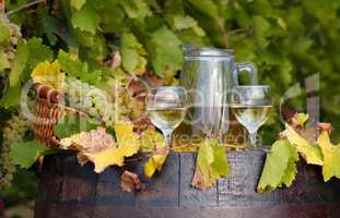vineyard white wine
