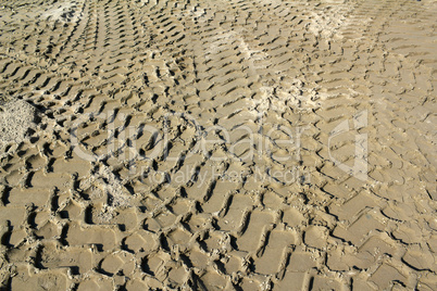 bulldozer track in sand