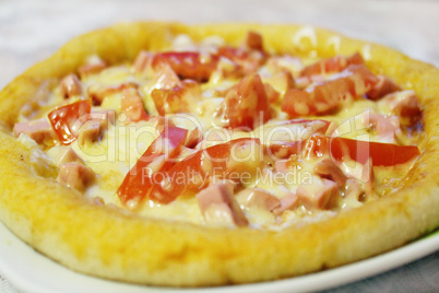 tasty appetizing pizza