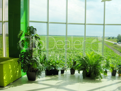 office window with a view of agricultural field