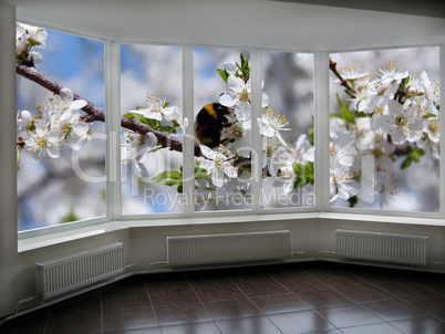 plastic windows overlooking the garden