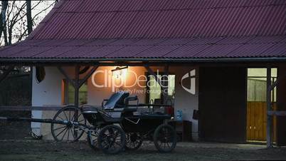 Horses on the farm