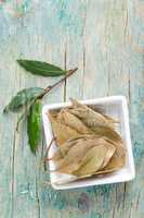 bay leaf