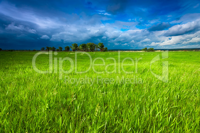 Meadow and stormy sky