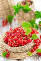 red currant