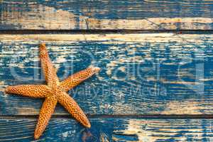 Wooden background with starfish