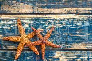 Wooden background with starfish