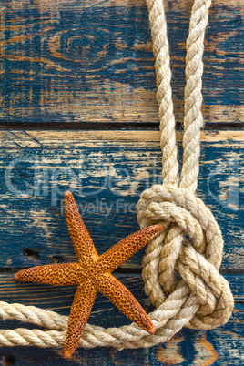 Sea background with starfish and marine rope