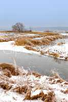 Winter landscape