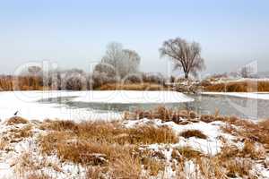 Winter landscape