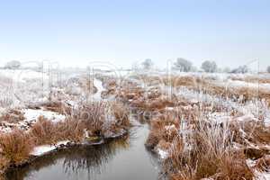 Winter landscape