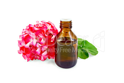 Oil with pink geraniums in dark bottle