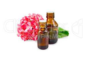 Oil with pink geraniums in two dark bottles