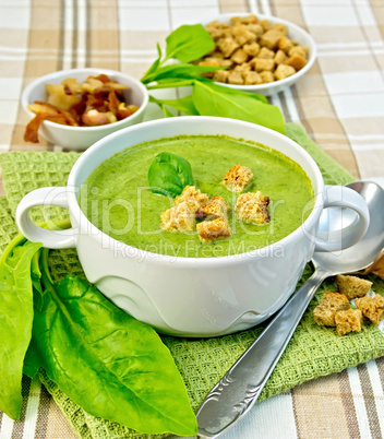 Soup puree with spinach and spoon on fabric