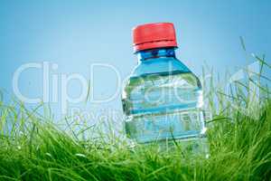 Water bottle on the grass