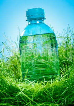 Water bottle on the grass