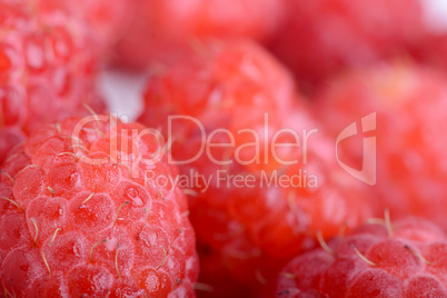 Fresh sweet raspberries close up