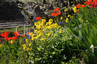 Garten im Frühling