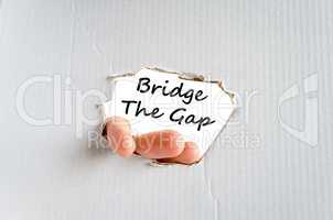 Bridge the gap text concept