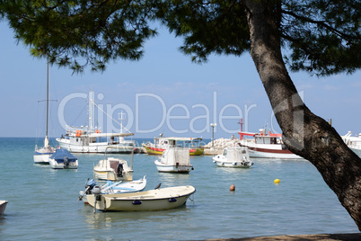 Küste bei Fazana, Istrien, Kroatien