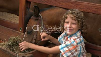Smiling Boy At Horse Farm
