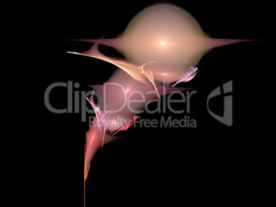 image of one Digital Fractal on Black Color image of one Digital Fractal on Black Color
