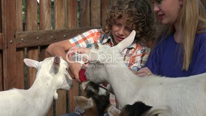 Feeding Goats At Farm