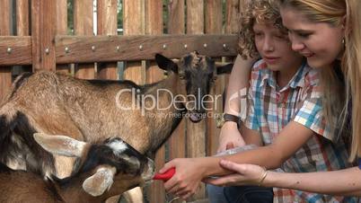 Kids Feeding Goats At Farm