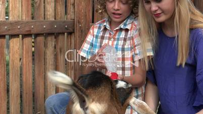 Kids Feeding Goat At Farm