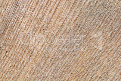 Wooden texture, empty wood background