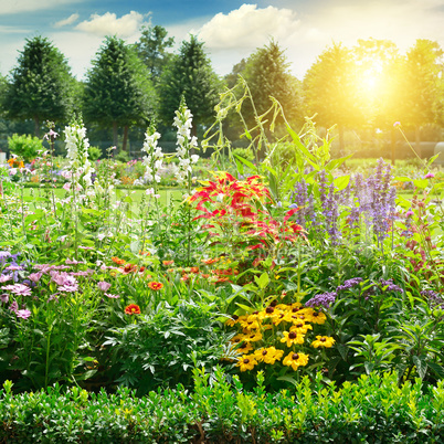 Multicolored flowerbed in park.