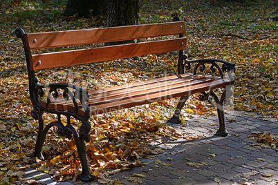 wooden bench in the park