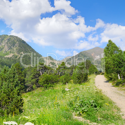 scenic mountains, meadows and blue sky