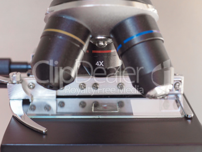 Light microscope detail
