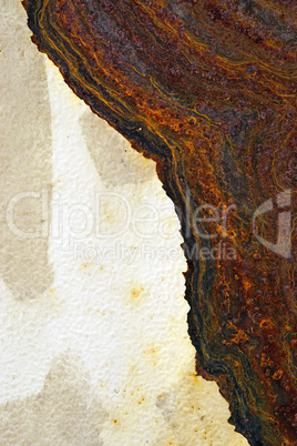 Rusted metal   surface with one half  of peeled white paint