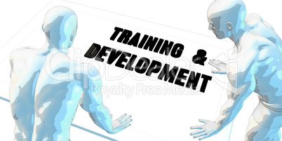 Training and Development