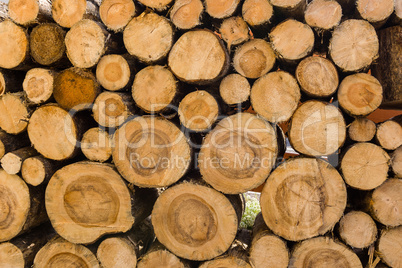 Stack of Firewood