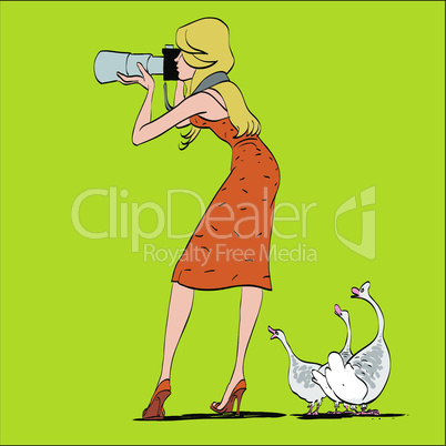 Girl photographer and geese in nature