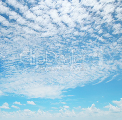 light cumulus clouds in the blue sky