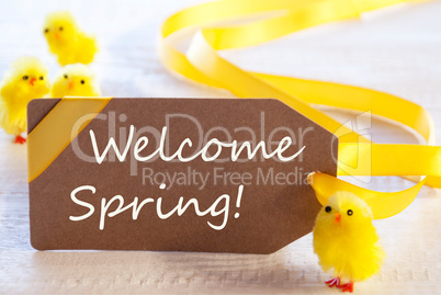 Easter Label With Chicks, Text Welcome Spring