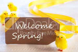 Easter Label With Chicks, Text Welcome Spring