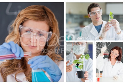 Collage of scientists at work