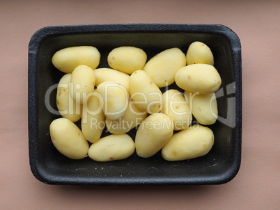 Potato vegetables in a tub