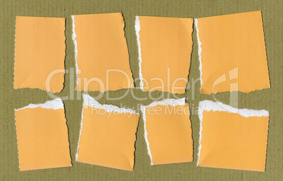 Yellow Torn paper pieces