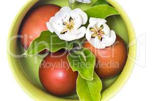 Easter eggs in a ceramic vase on a white background.