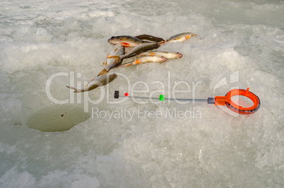 Spring ice fishing